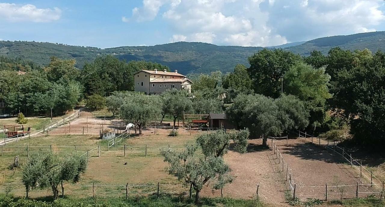 Castion Veronese Il Rovero 아파트 외부 사진